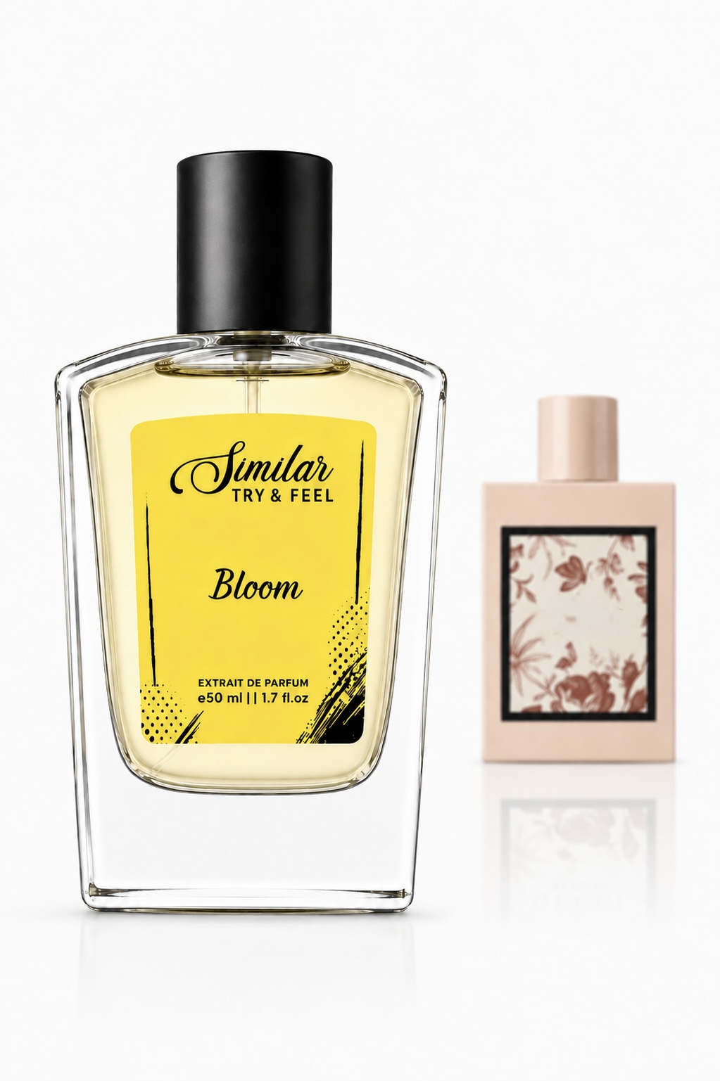 Bloom